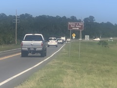 Malaclemys terrapin centrata