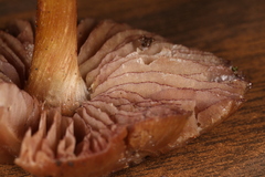 Mycena rutilantiformis