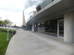 Leiothlypis ruficapilla