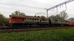 Taraxacum officinale