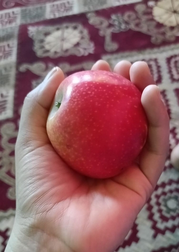 apple