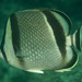 Chaetodon humeralis - Photo (c) Programa Marino del Golfo de California,  זכויות יוצרים חלקיות (CC BY-NC-SA), הועלה על ידי Programa Marino del Golfo de California