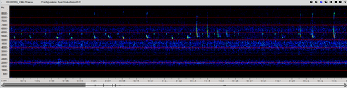 Soprano Pipistrelle