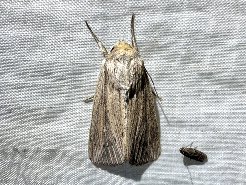 Linda's Wainscot photo 2