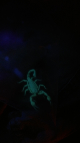 Russell's Scorpion