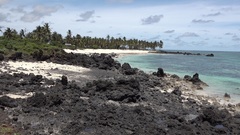 Cryptoblepharus ater