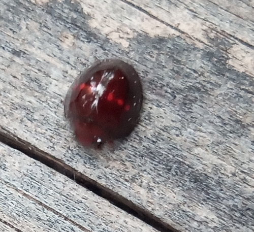 Heather Ladybird