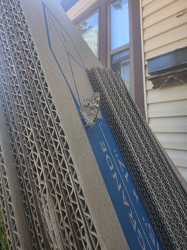 Hackberry Emperor