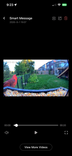 Northern Cardinal observed by data_nerd