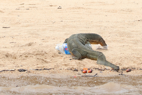Common Water Monitor