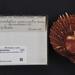שדרנית קוצנית - Photo Schreibers, 1793, לא ידועות מגבלות של זכויות יוצרים  (נחלת הכלל)