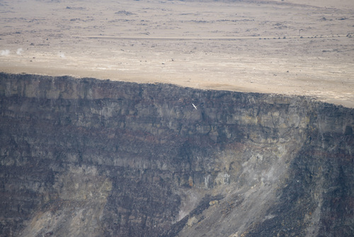 Aves observed 2015-09-24