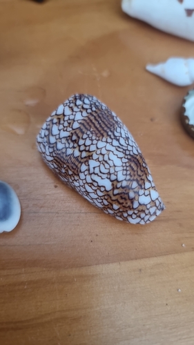 Textile Cone