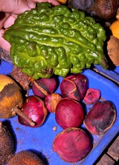 Cola nitida