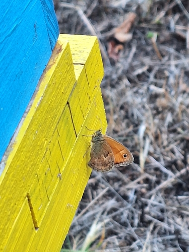 Small Heath