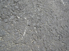 Amaurornis phoenicurus