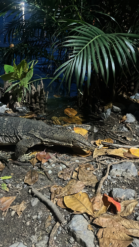 Common Water Monitor