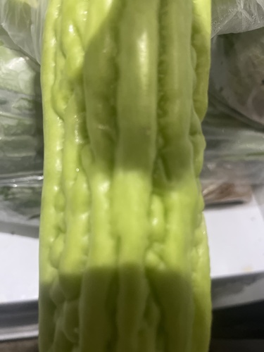 Bitter Melon