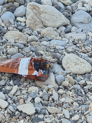 Oriental Hornet