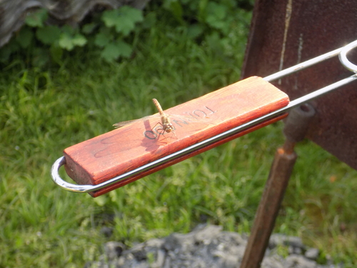 Vagrant Darter