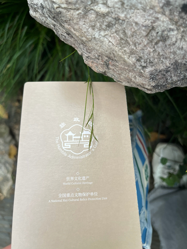Carex brunnea observed 2026-08-31