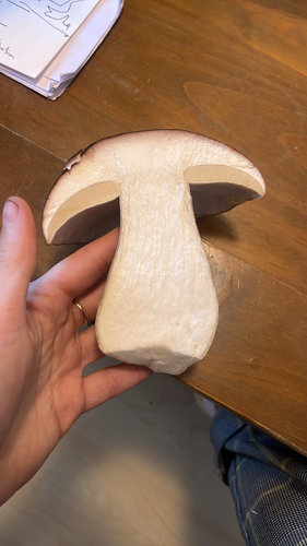 King Bolete