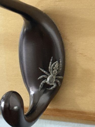 Tan Jumping Spider