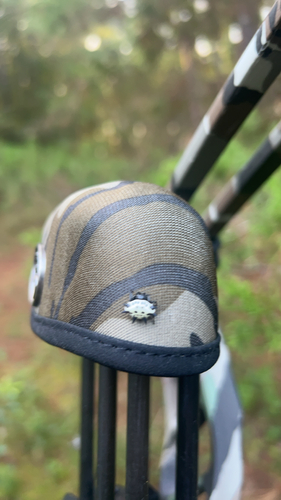 Spinybacked Orbweaver