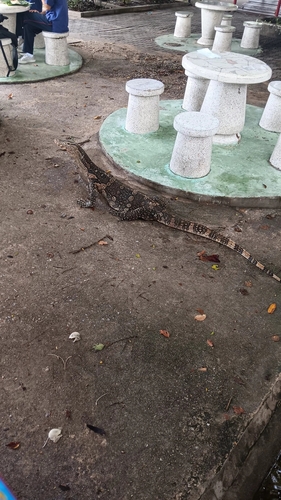 Common Water Monitor