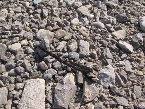 Common Swift