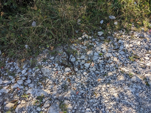 Adder