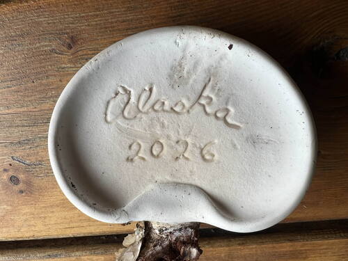 birch polypore