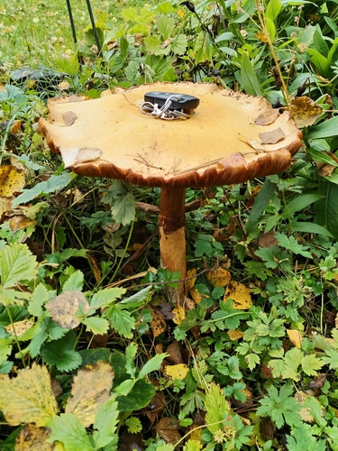 Golden Cap