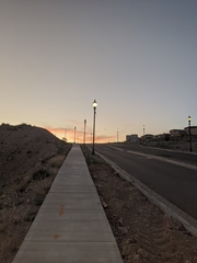 Chordeiles acutipennis