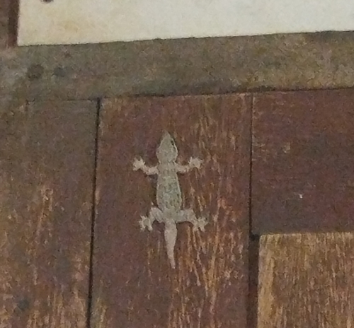 Flat-tailed House Gecko