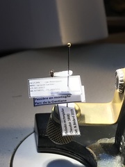 Philodes rectangulus