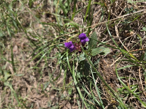 Large Self-heal