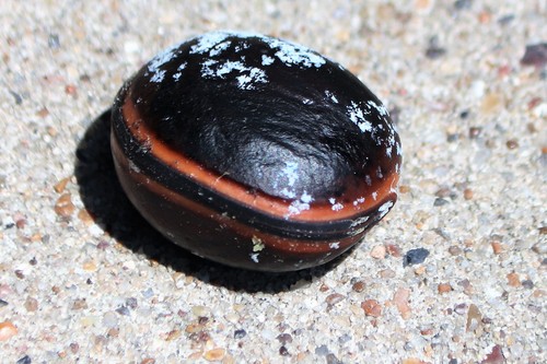 Mucuna gigantea