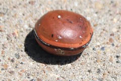 Macropsychanthus comosus