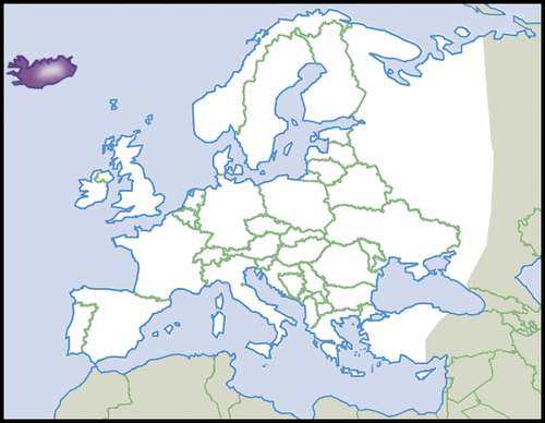 Pellucid Glass-snail