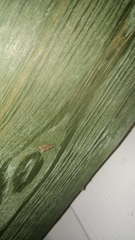 Platynota idaeusalis