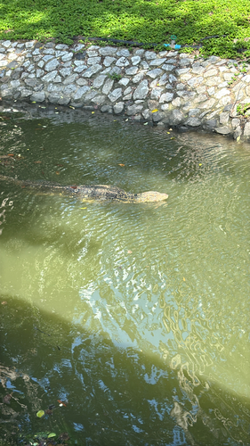 Common Water Monitor