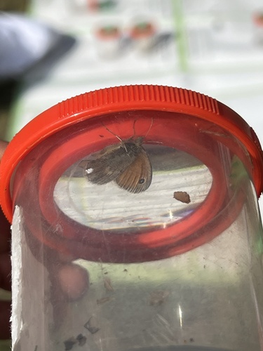 Small Heath