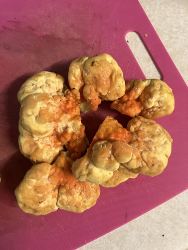 chicken of the woods