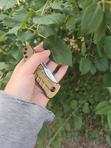 common buckthorn