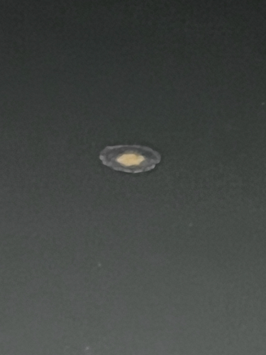 Egg-yolk Jelly