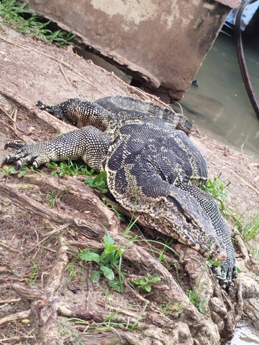 Common Water Monitor