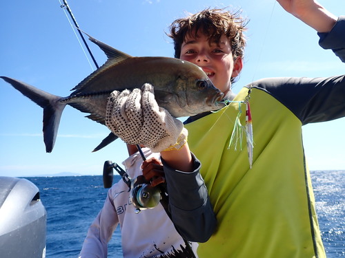 Caranx lugubris observed 2026-08-30