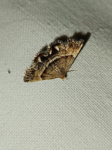 Delightful Marbled
