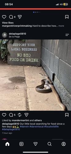 Olive Python
